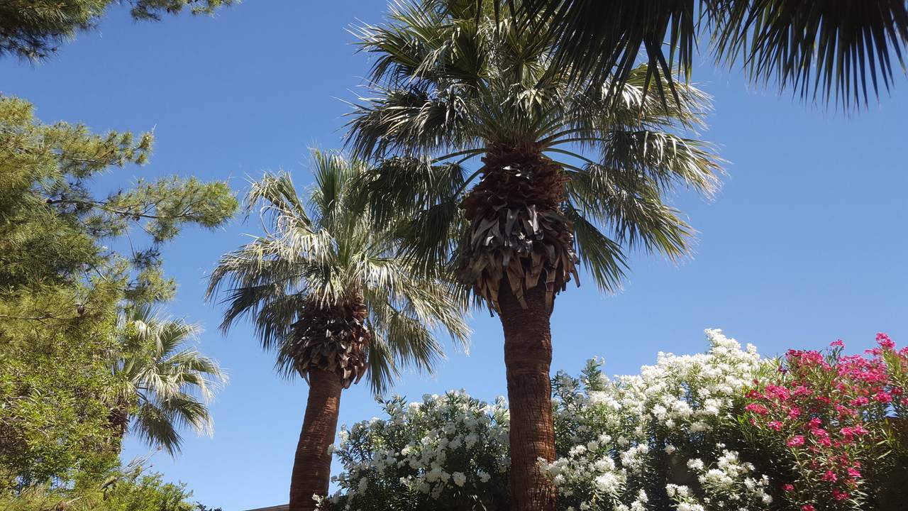 https://bt-photos.global.ssl.fastly.net/stgeorge/1280_boomver_4_25-257876-2.jpg