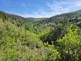  Braffits Creek Lot 61&62 - Photo 10