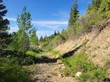  Braffits Creek Lot 61&62 - Photo 13