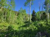  Braffits Creek Lot 61&62 - Photo 6