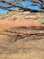  Supai Trail - Photo 2