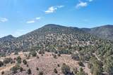 4233 Hwy 219 - Photo 48