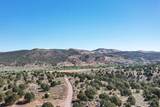 4233 Hwy 219 - Photo 55