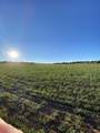  Hickman Flats Rd - Photo 2