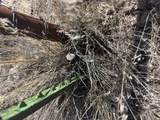  9.51 Acres With .5 Af Of Water - Photo 14