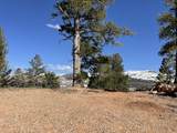 1224 Aspen Dr - Photo 13