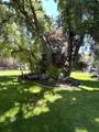 303 Rachel Ln - Photo 49