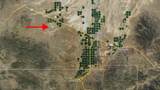  39.09 Acres - Photo 4