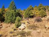 Lot 22 Bonnie Green Dr - Photo 5