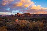  Dalton Wash Rd - Photo 12