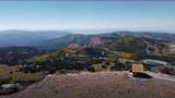 681 Hwy 143 - Photo 16