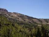 681 Hwy 143 - Photo 20