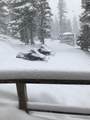 5730 Mountain Lion Dr - Photo 21