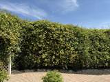 3763 Carribbean Cir - Photo 47