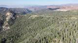  20 Ac West Of Dry Lakes Rd - Photo 4