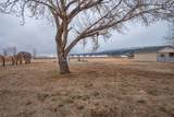 5520 500 - Photo 42