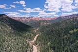  Cedar Mountain Ashdown Gorge-B - Photo 11