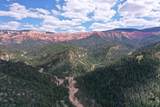  Cedar Mountain Ashdown Gorge-B - Photo 14