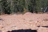 Cedar Mountain Ashdown Gorge-B - Photo 17