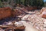  Cedar Mountain Ashdown Gorge-B - Photo 18