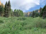  Cedar Mountain Ashdown Gorge-B - Photo 21
