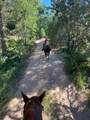  Cedar Mountain Ashdown Gorge-B - Photo 22