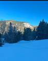  Cedar Mountain Ashdown Gorge-B - Photo 23
