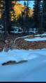  Cedar Mountain Ashdown Gorge-B - Photo 25