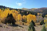  Cedar Mountain Ashdown Gorge-B - Photo 6