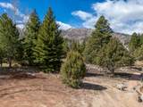 296 Cliff Rose Cir - Photo 1