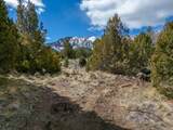 296 Cliff Rose Cir - Photo 23