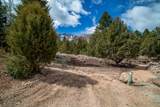296 Cliff Rose Cir - Photo 29