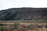 59.39 Acs Dalton Wash Rd - Photo 11