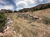  Null - Photo 12