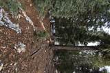 175 Apache Trail - Photo 24