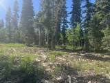  Shoreline Dr - Photo 17