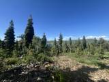  Shoreline Dr - Photo 20