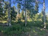  Shoreline Dr - Photo 24