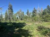  Shoreline Dr - Photo 25