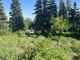  Shoreline Dr - Photo 26