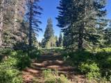  Shoreline Dr - Photo 28