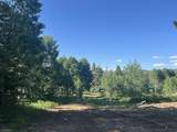  Shoreline Dr - Photo 31