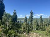  Shoreline Dr - Photo 4