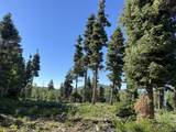  Shoreline Dr - Photo 6