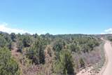  Lot 23 Harmony Mountain Ranch - Photo 21
