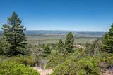 4630 White Sands Lp - Photo 41