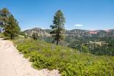4630 White Sands Lp - Photo 43