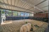 3770 Sugar Leo Rd - Photo 20