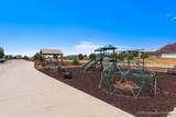 1238 Cactus Dr - Photo 8