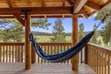 910 Appaloosa Dr - Photo 47